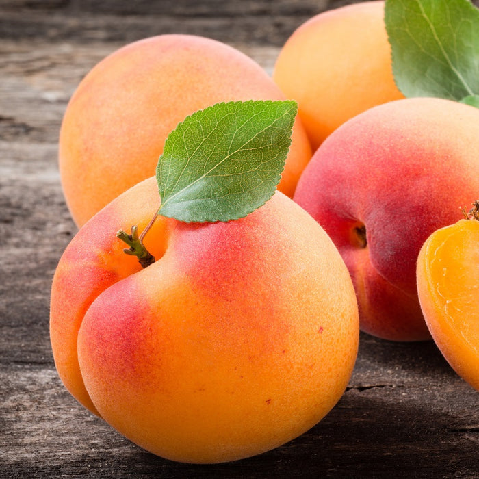 Apricot White Balsamic