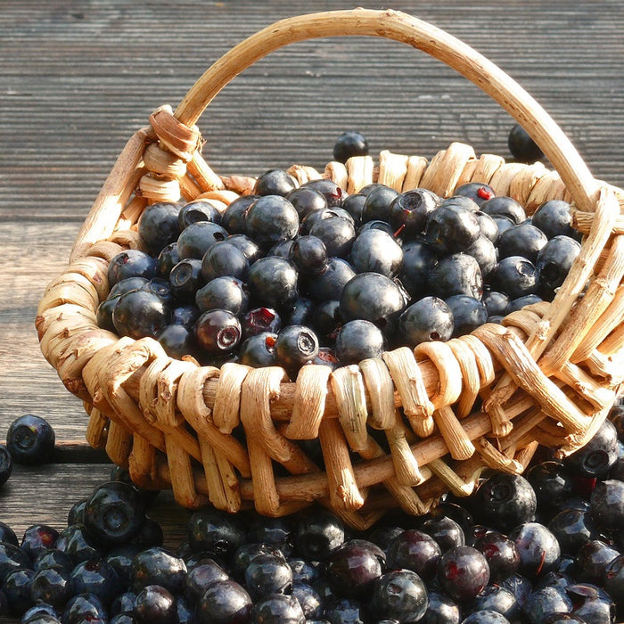 Blueberry Dark Balsamic