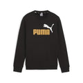 Puma Boys Ess+ 2 Col Big Logo Fleece Sweater Black Ginger Puma