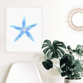 Bright Starfish - Jetty Home