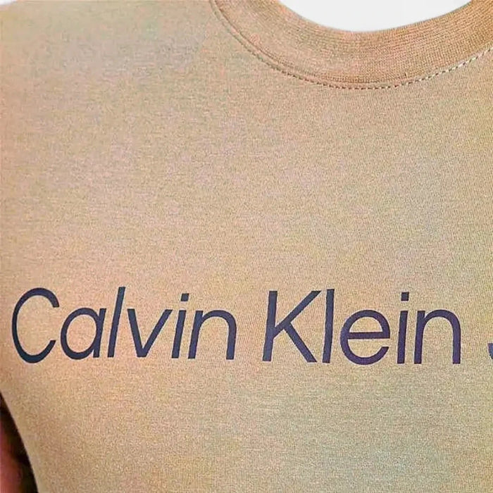 Calvin Klein Mens Institutional Logo Short Sleeve Tee Burnt Orange | Calvin Klein