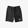 Dc Mens Logo Short Black | DC