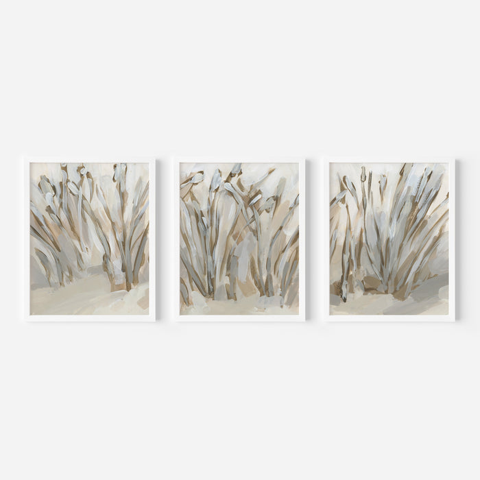 Deep in the Dunes - Set of 3 - Jetty Home