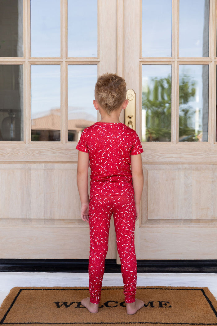 FIREWORKS | SHORT SLEEVE