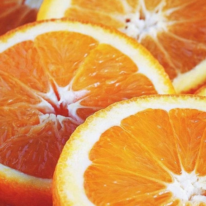 Honeybell Orange White Balsamic