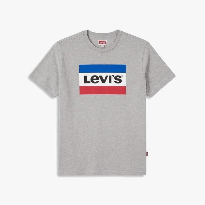 Levis Boys Graphic Short Sleeve Tee Grey | Levis
