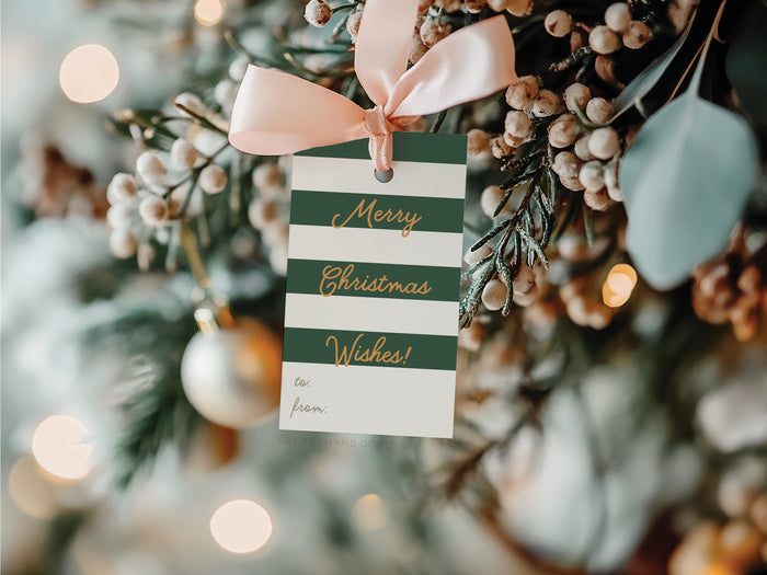 Merry Christmas Wishes Stripe Gift Tags