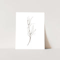 Minimalist Fall Plant Study, No. 1 - Jetty Home