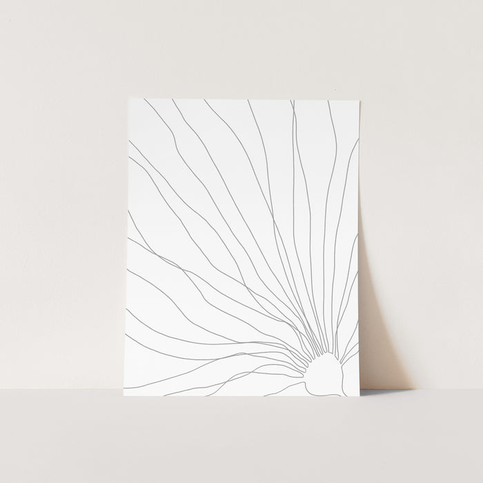 Minimalist Kelp Illustration - Jetty Home