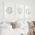 Minimalist Seashell Trio, No. 1 - Set of 3 - Jetty Home