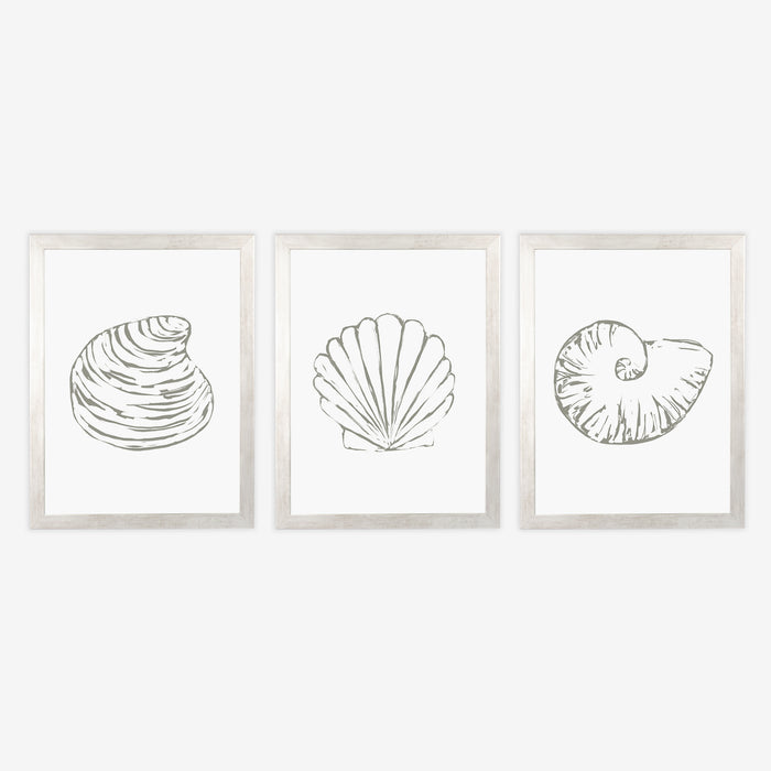 Minimalist Seashell Trio, No. 1 - Set of 3 - Jetty Home