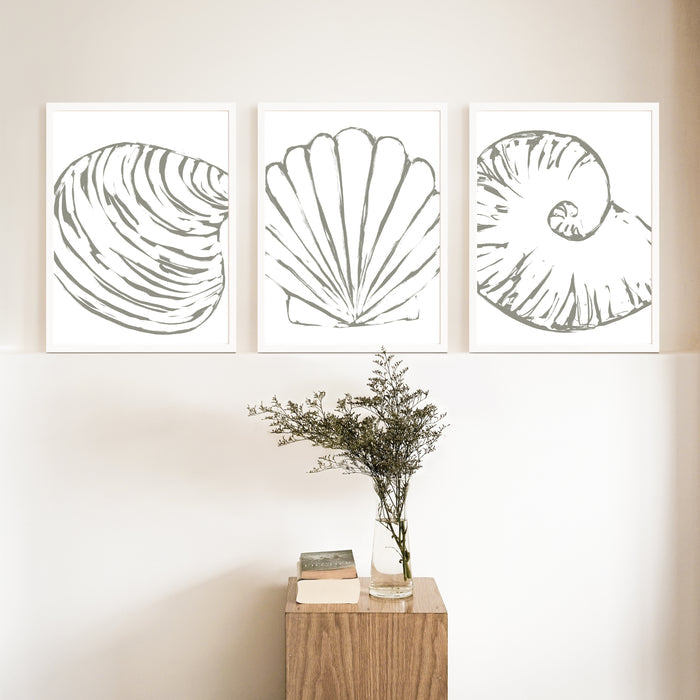 Minimalist Seashell Trio, No. 2 - Set of 3 - Jetty Home