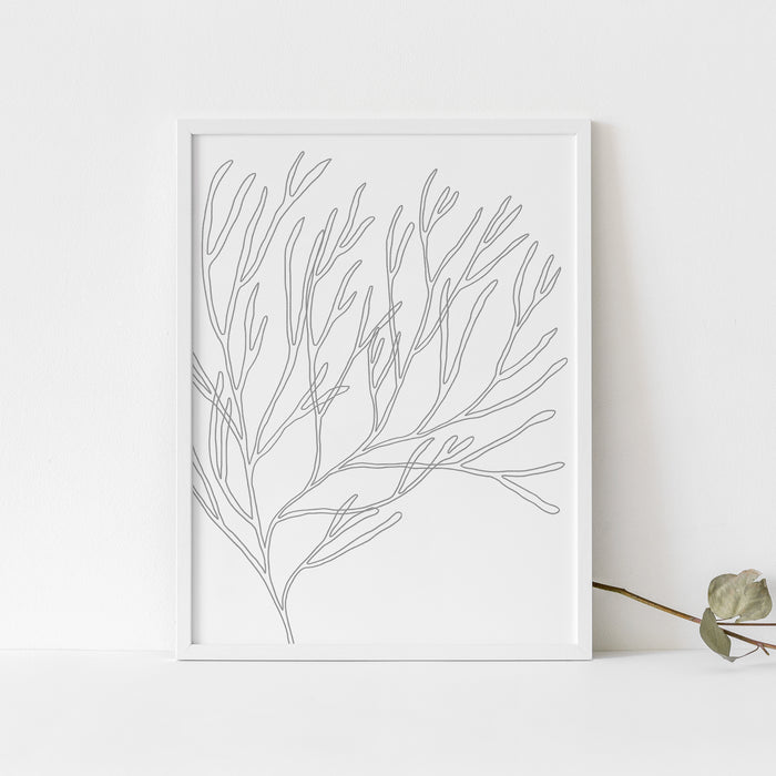 Modern Minimalist Seaweed Beach Decor Wall Art Print or Canvas - Jetty Home