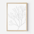 Minimalist Seaweed Illustration, No. 2 - Jetty Home