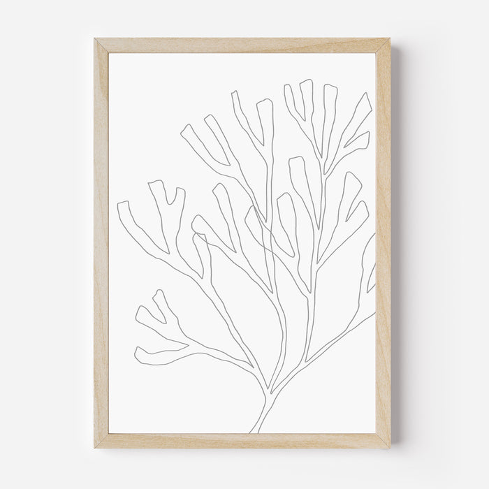 Minimalist Seaweed Illustration, No. 2 - Jetty Home