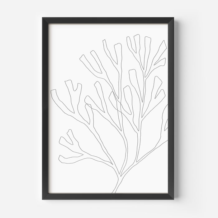Minimalist Seaweed Illustration, No. 2 - Jetty Home