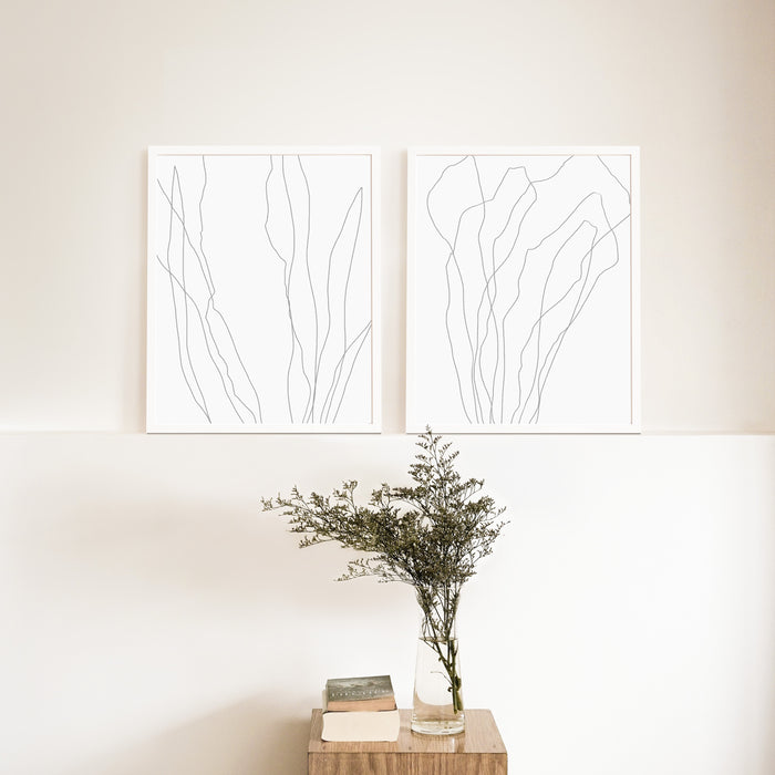 Modern Minimalist Seaweed Illustration - Set of 2 - Jetty Home