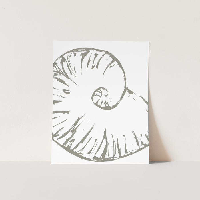Modern Seashell Study, No. 3 - Jetty Home