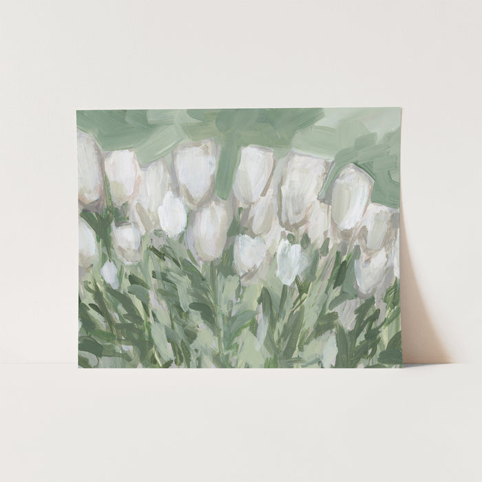 Morning Tulips - Jetty Home