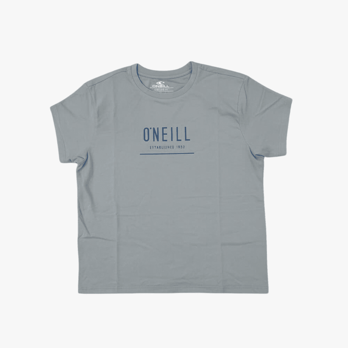 Oneill Mens Struck Short Sleeve Tee Tradewinds Grey | Oneill