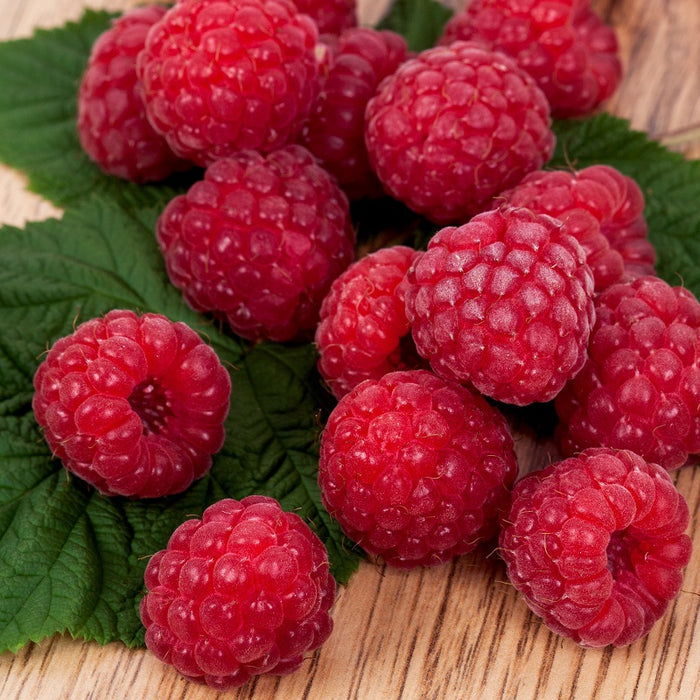 Raspberry Dark Balsamic
