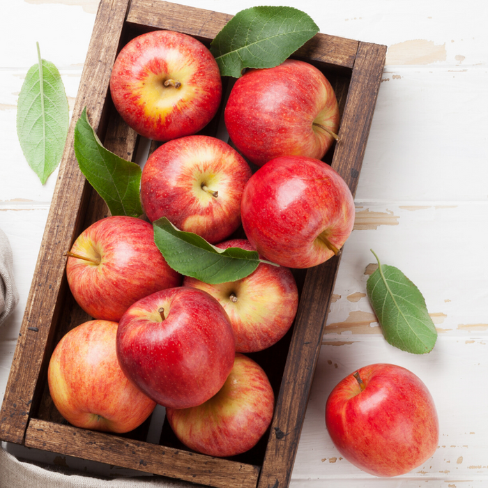 Red Apple Dark Balsamic