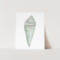 "Seashell Painting 3" Coastal Artwork - Art Print or Canvas - Jetty Home