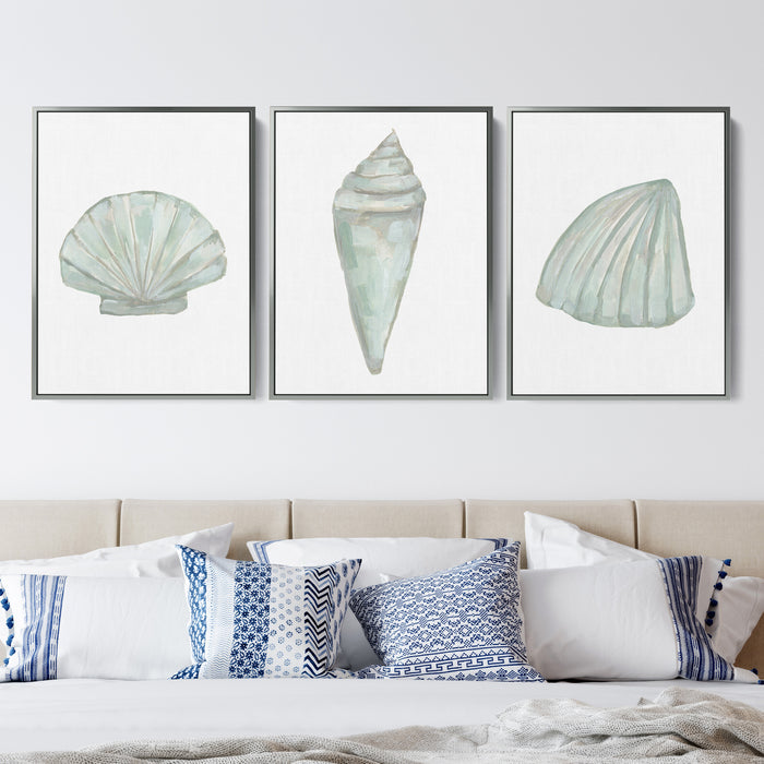Seashell Trio, No. 1 - Set of 3 - Jetty Home