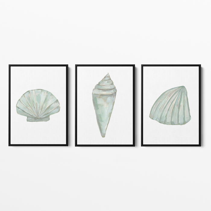 Seashell Trio, No. 1 - Set of 3 - Jetty Home