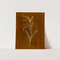 The Cozy Botanicals, No. 3 - Jetty Home