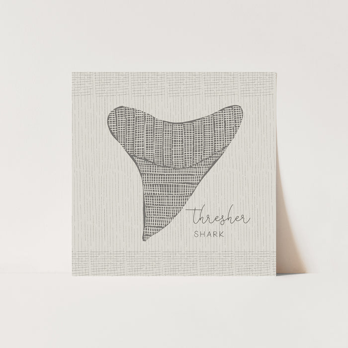 Thresher Shark Tooth  - Art Print or Canvas - Jetty Home