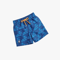Venice Beach Boys Swim Shorts Blue | Venice