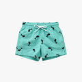 Venice Beach Boys Swim Shorts Turquoise | No Rules