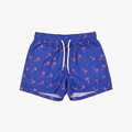 Venice Beach Boys Swimshort Navy Red Palms | No Rules