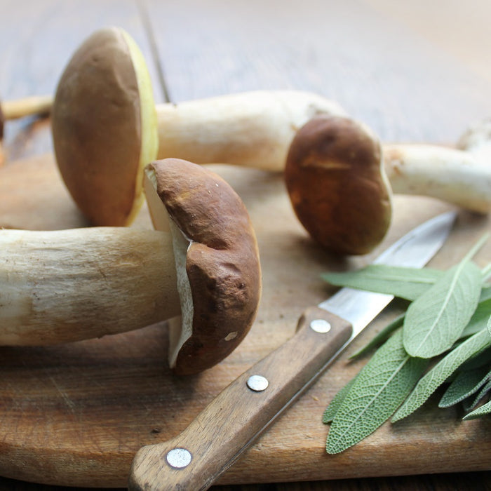 Wild Mushroom & Sage Olive Oil
