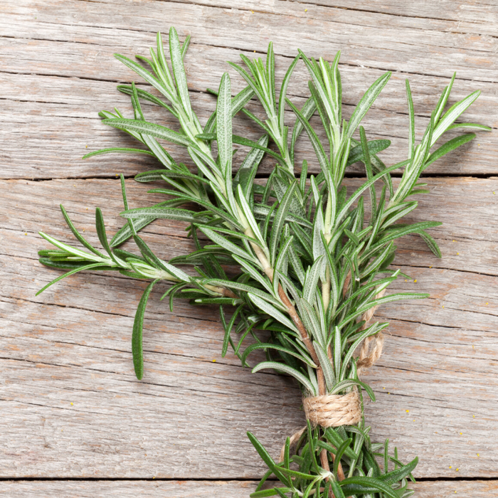 Wild Rosemary Olive Oil
