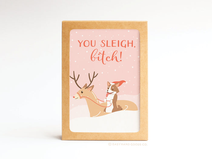 You Sleigh, B*tch Folded Greeting Note Set