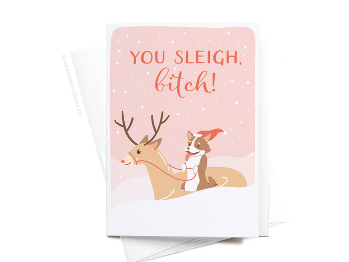 You Sleigh, B*tch Folded Greeting Note Set